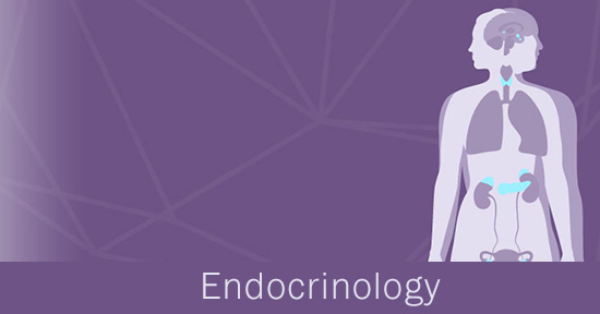 Endocrinology